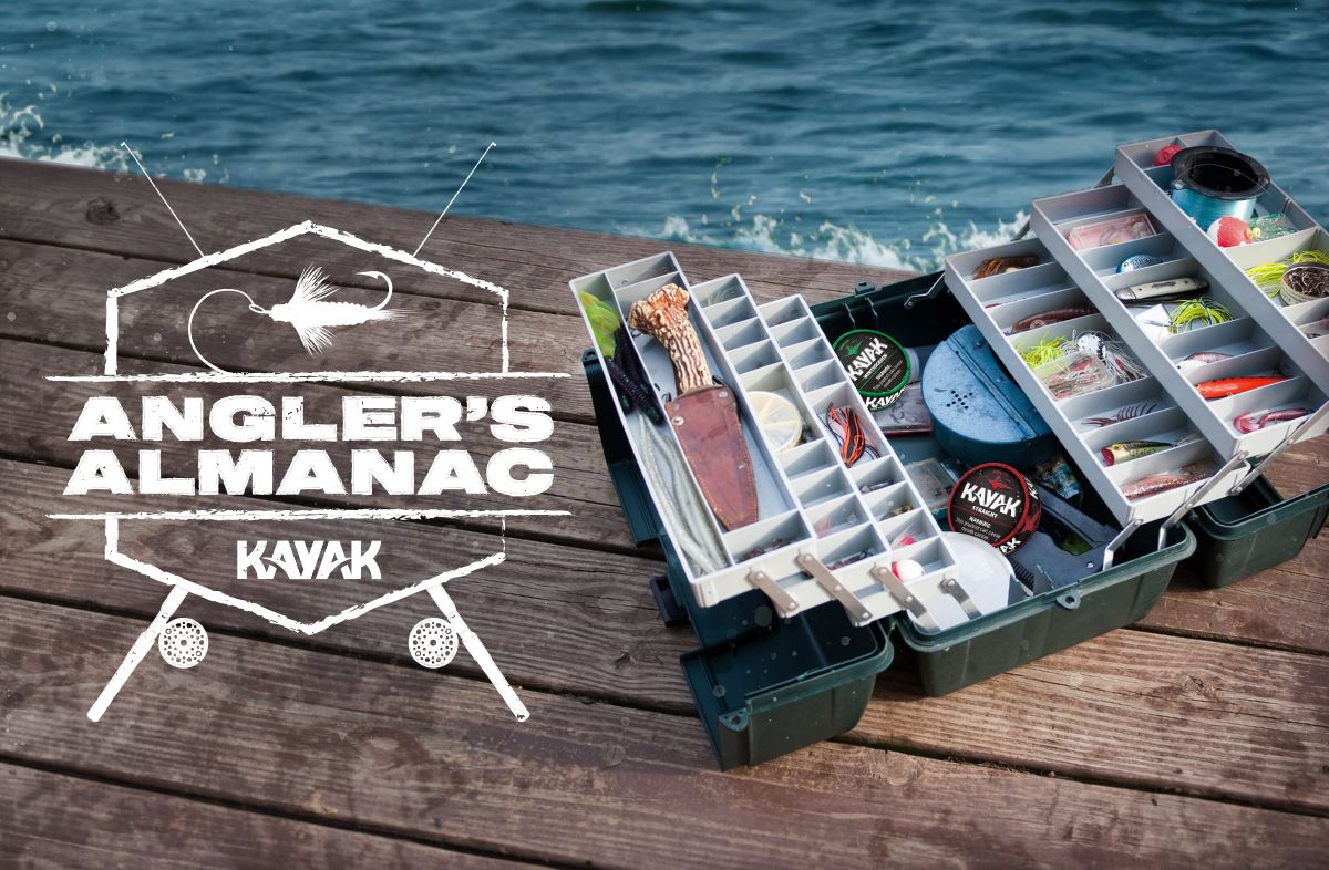 Tackle box on a fishing dock