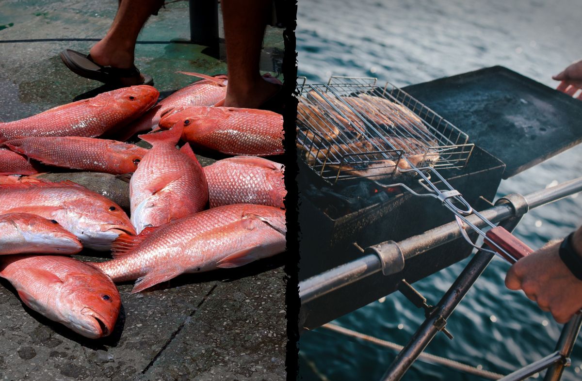 The Best Game Fish for Grilling