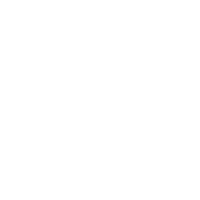 Dollar Sign icon