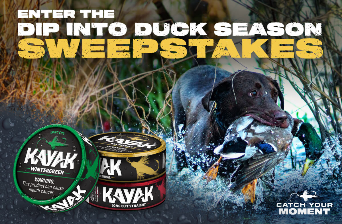 Hero image of a dog with a duck in it's mouth and Kayak Dip cans in the foreground