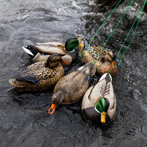 Duck decoys