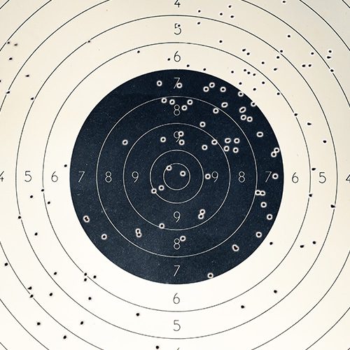 SHOTGUN BLASTS ON A TARGET
